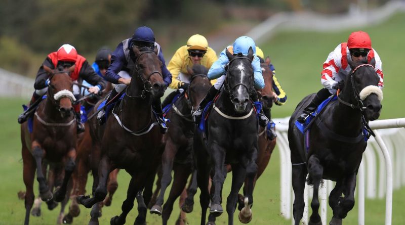 Wednesday racing tips: Newsboy's best bets including a nap at Pontefract