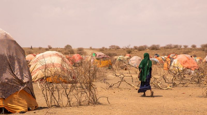Displaced families affected by drought, Somali Region, Ethiopia.
