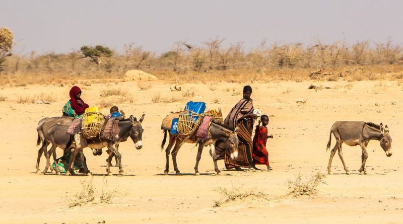 Climate shocks and extreme weather are fuelling mass displacement and driving up humanitarian needs across the Horn of Africa.