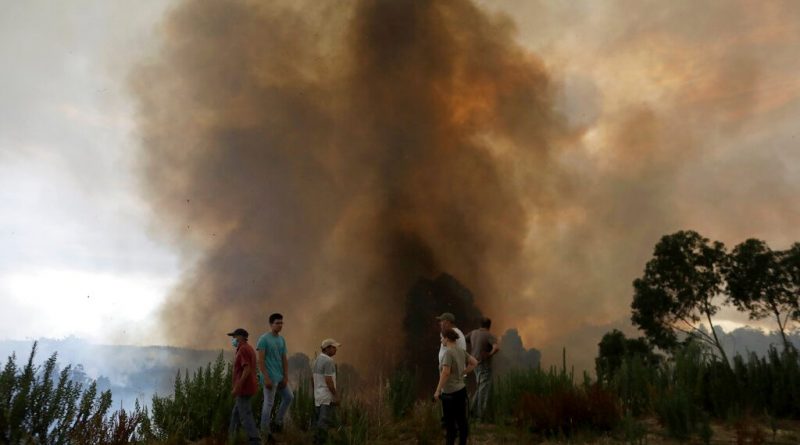 Spate of Wildfires Scorches Parts of Europe Amid Heat Wave