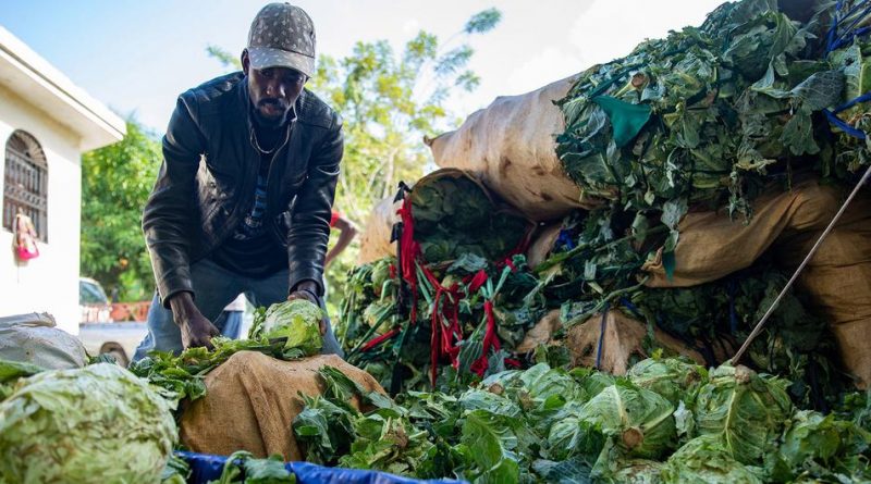 Farmers in the south of Haiti are struggling to get their goods to markets