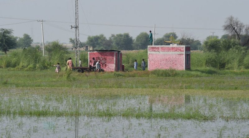 Pakistan's Food Security Threatened by Massive Flooding