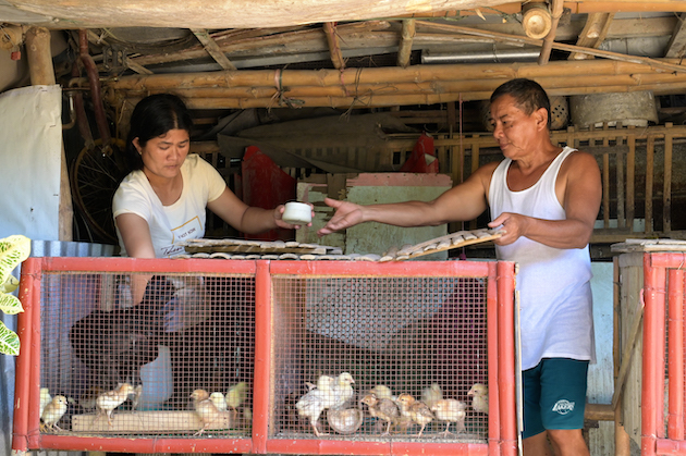 Building Resilience in the Philippines Through Sustainable Livelihoods and Psychosocial Support
