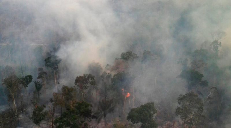Illegal Deforestation in Brazil Amazon Pushes Number of Fires to Five-Year High