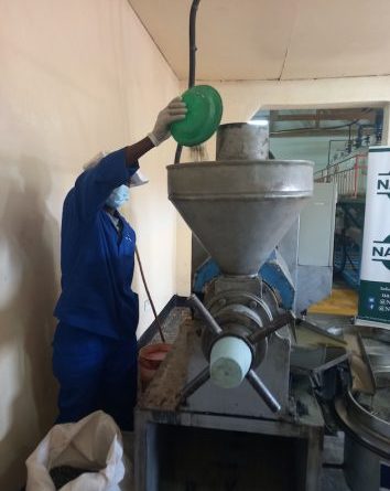 ​A factory worker pressing sunflower oil. Credit: ​Esmie Komwa Eneya/IPS​