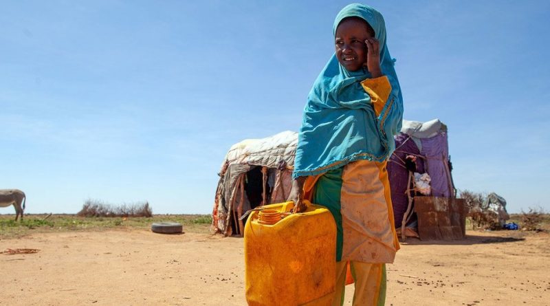 Somalia is bracing for record levels of displacement this year as drought ravages parts of the country,