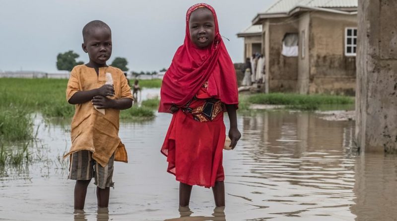 Children stand in a flood water in Borno State, Nigeria.