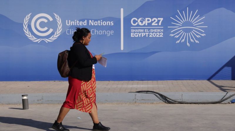 A New U.N. Report at COP27 Takes Aim at 'Greenwashing'