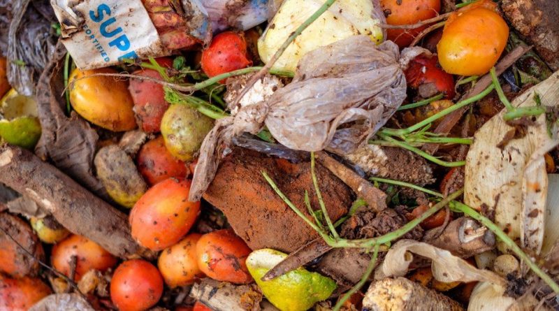 Sustainable food cold chains reduce waste, fight climate change: UN report