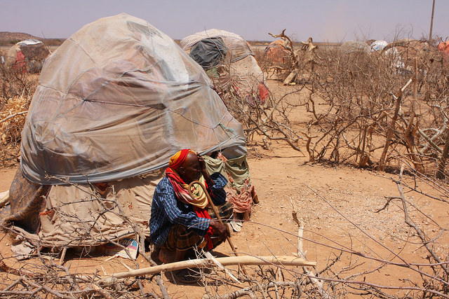 Tackling Recurring  Hunger Crises at the Horn of Africa - Beginning with Somalia