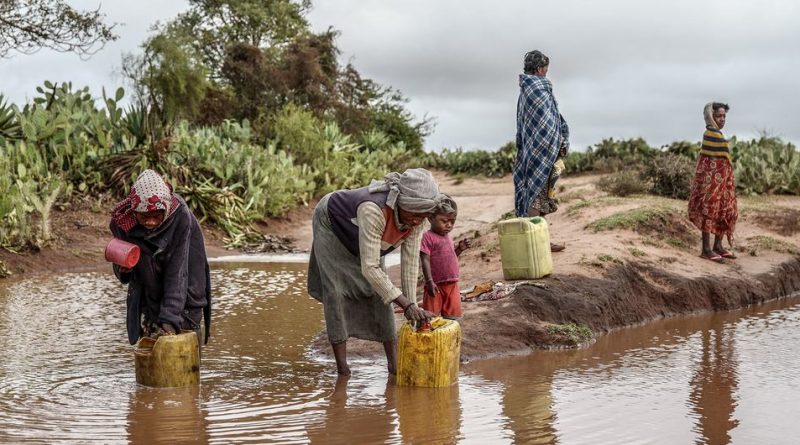 Hammered by drought, a family collects rainwater in the south of Madagascar, where puddles are sometimes sourced for personal use or sale.