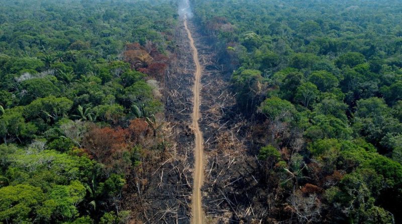 E.U. Agrees Deal to Ban Products Which Fuel Deforestation