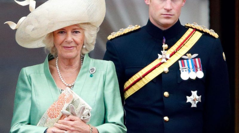 Prince Harry Says Camilla Isn't an 'Evil Stepmother.' His Book Begs to Differ