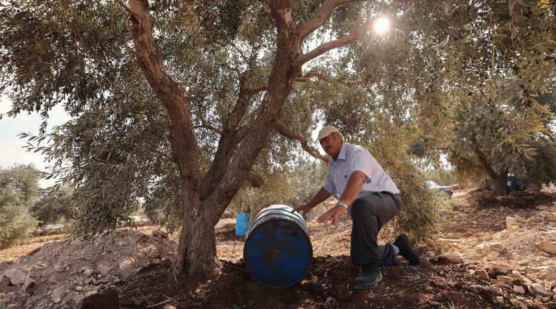 Mohammed Amer Hammoudi, 67, displays his irrigation system under an olive tree in his orchard in the northern West Bank town of Asira al-Shamaliya on Oct. 25, 2021. (Emmanuel Dunand—AFP/Getty Images)